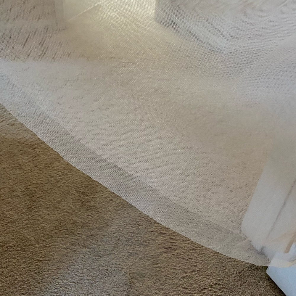 Adrianna Papell wedding dress - Picture 5 of 6